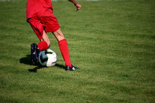 开云体育在线登入-篮球专项技能训练课程体系设计,篮球专项素质训练教案